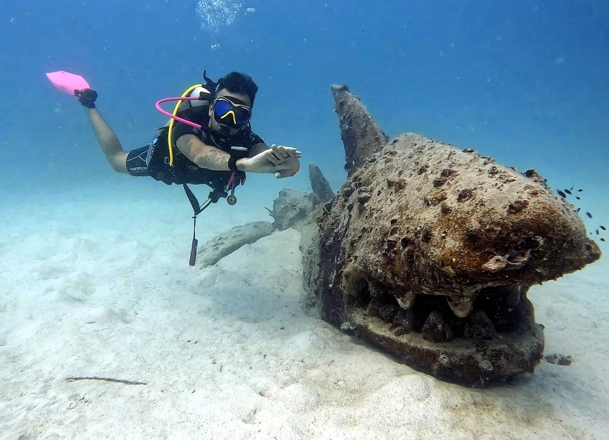 Chef trades catering career for coral reefs and marine PhD