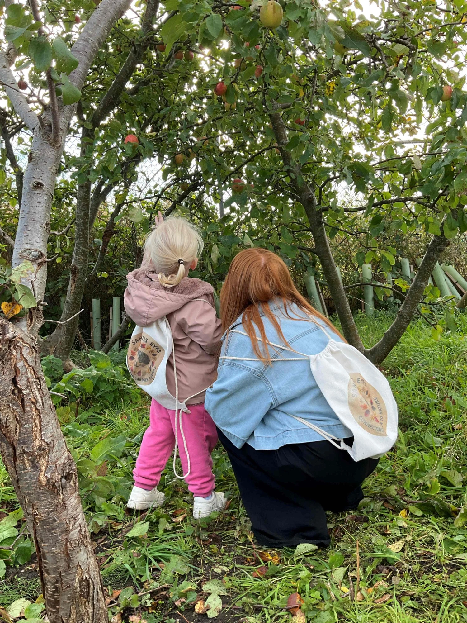 Pioneering Primary School Eco-Garden Bears Fruit
